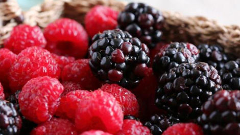 Buah Beri - jateng.tribunnews.com