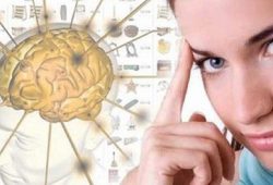 Paket Latihan Untuk Otak Anda