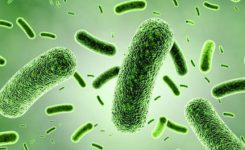 Manfaat-Probiotik Manfaat-Probiotik