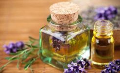 minyak-esensial