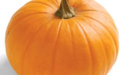 makanan pengecil perut makanan pengecil perut