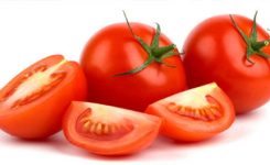 tomat-buah