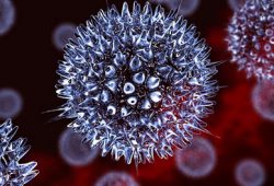 Definisi dan Struktur tubuh Virus